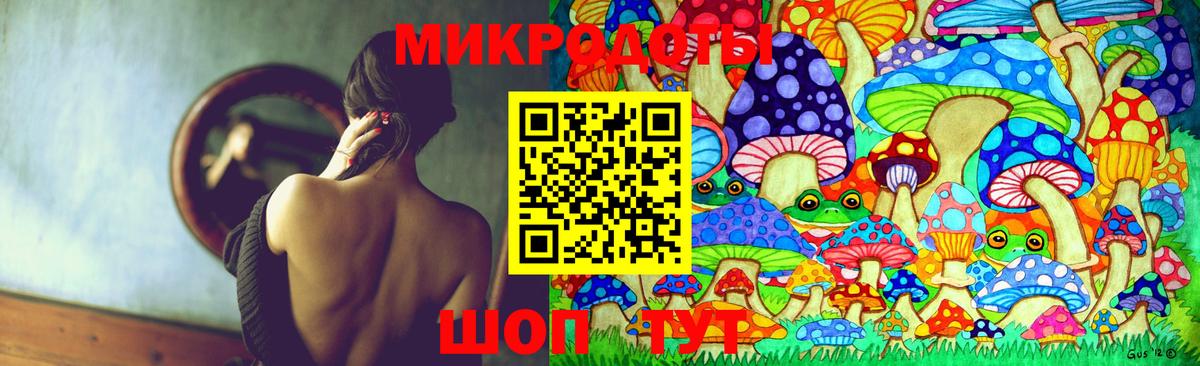 Каменка  Галлюциногенные грибы Psilocybine cubensis  Вход с VPN 